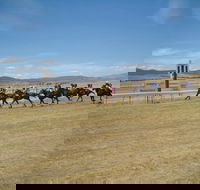 Adaminaby Cup Race Day - Holiday Cairns