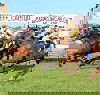 Casino Cup - Holiday Cairns