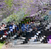 Celtic Festival of Queensland - Holiday Cairns