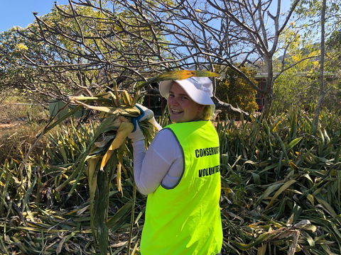 Conservation Volunteers Australia Townsville - Beach Scrub Conservation - Holiday Cairns 0