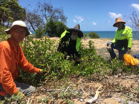 Conservation Volunteers Australia Townsville - Beach Scrub Conservation - Holiday Cairns 2