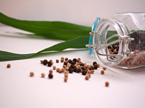 Cooking With Australian Indigenous Spices Cooking Class - Holiday Cairns 0