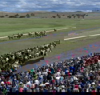 Cooma Sundowners Cup - Holiday Cairns