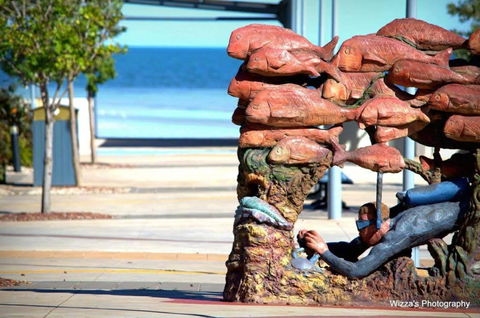 Cuttlefish Art Trail - Cuttlefest 2020 - Holiday Cairns 0