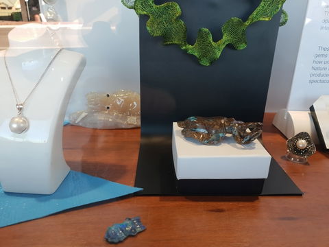 Cuttlefish Art Trail - Cuttlefest 2020 - Holiday Cairns 1