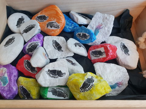 Cuttle-Rock Challenge - CUTTLEFEST 2020 - Whyalla - Holiday Cairns 0