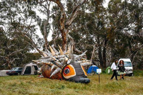 Field Good Festival - Holiday Cairns 2