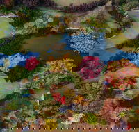 Glenrock Gardens Open Garden - Holiday Cairns