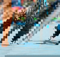 Gold Coast Triathlon Training - Holiday Cairns