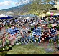 Jamming at Jingellic - Holiday Cairns