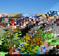 Maclean Macmarket Day - Holiday Cairns