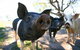 Mudgee Farm Walks - thumb 0