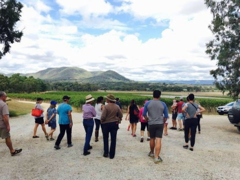 Mudgee Farm Walks - Holiday Cairns 1