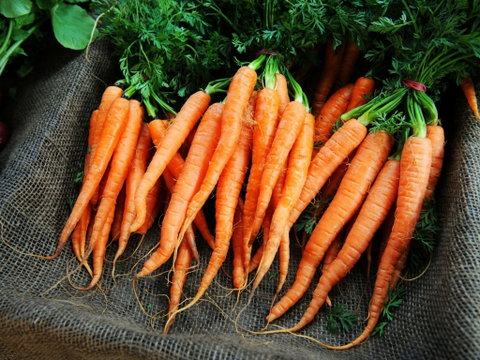 Mudgee Farm Walks - Holiday Cairns 2