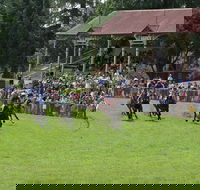 Tumut Boxing Day Races - Holiday Cairns