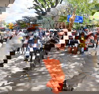Australian National Busking Championships - Holiday Cairns