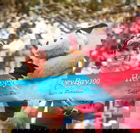 Beach House Hotel Hervey Bay 100 - Holiday Cairns