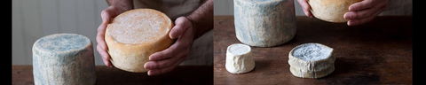 Cheese Making Basics Class - Holiday Cairns 0