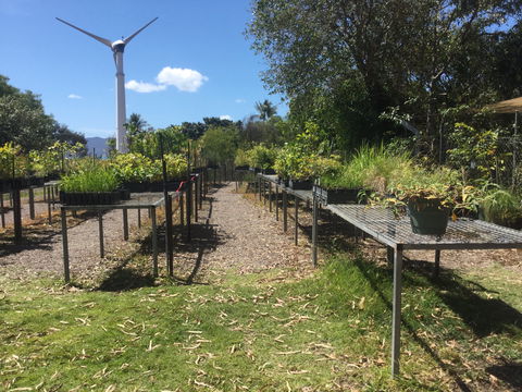 Conservation Volunteers Australia Townsville - Ocean View Nursery - Holiday Cairns 0