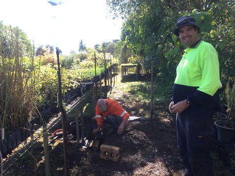 Conservation Volunteers Australia Townsville - Ocean View Nursery - Holiday Cairns 1
