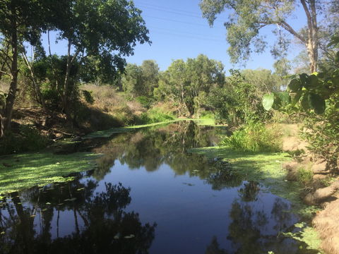 Conservation Volunteers Australia Townsville - Creekwatch - Holiday Cairns 0