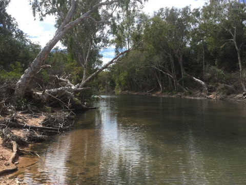 Conservation Volunteers Australia Townsville - Creekwatch - Holiday Cairns 2