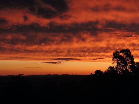 Father's Day At Cottontail Wines - Holiday Cairns 0