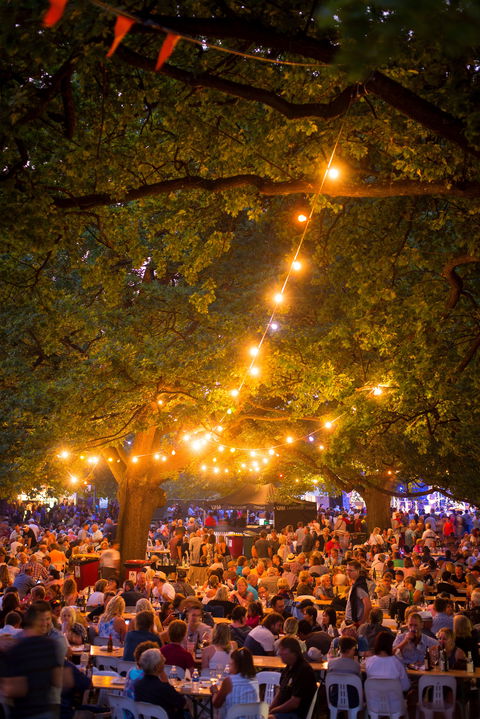 Festivale - Holiday Cairns 0