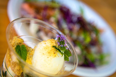 Festivale - Holiday Cairns 2