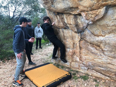 July 2020 Holidays- Forest Adventures Treasure Hunt - Holiday Cairns 1
