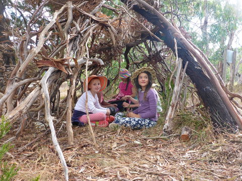 July 2020 Holidays- Forest Adventures Treasure Hunt - Holiday Cairns 2