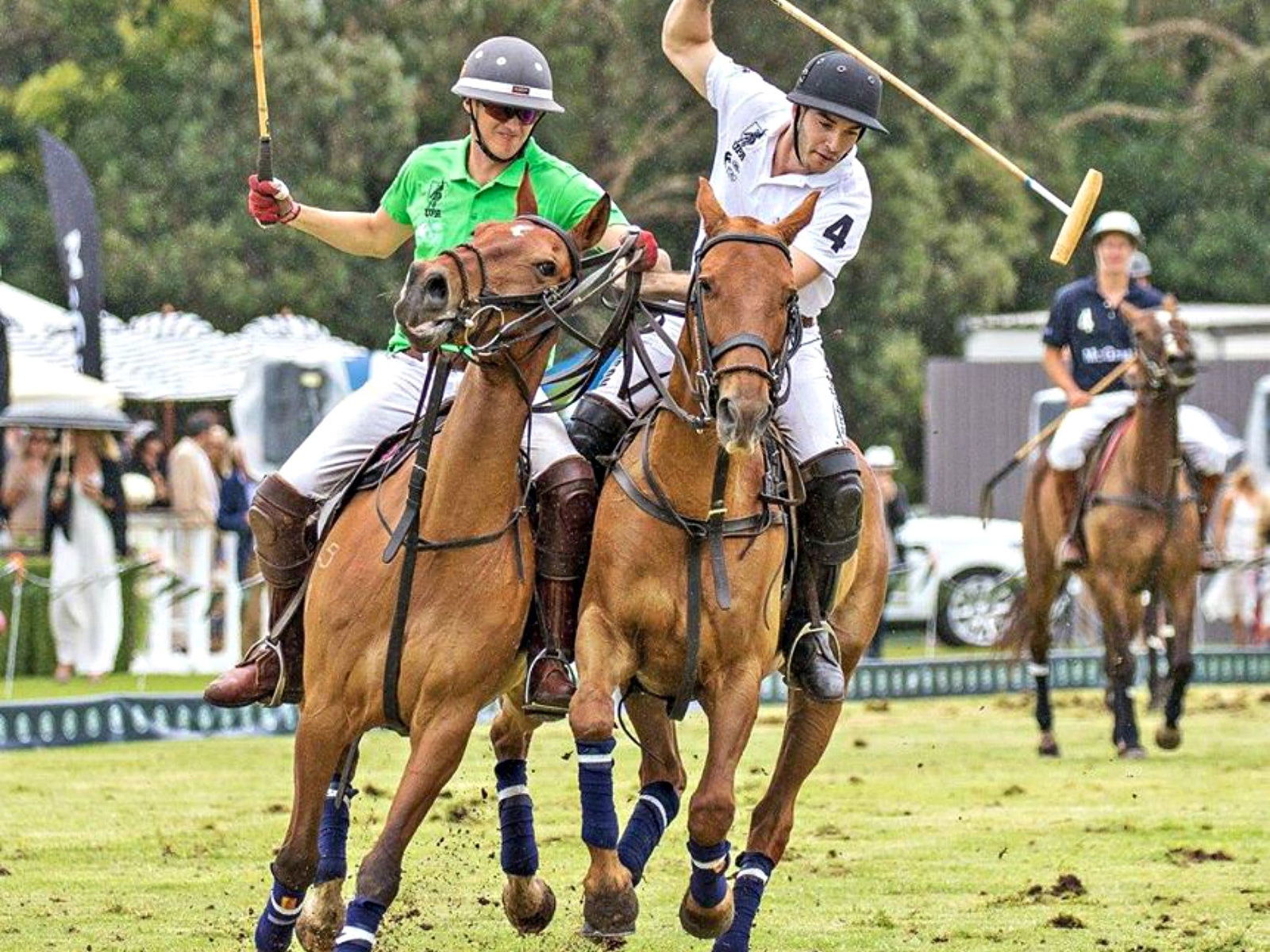 Centennial Park NSW Holiday Cairns