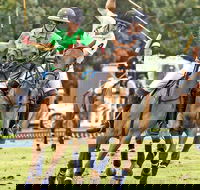 Land Rover Polo in the City - Holiday Cairns