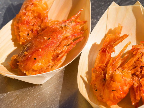 Ocean Harvest Festival - Holiday Cairns 1