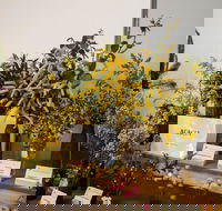 Pomonal Native Flower Show - Holiday Cairns