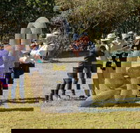 Sculpture for Clyde - Outdoor Exhibition