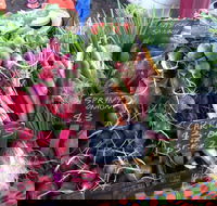 South Geelong Farmers Market - Holiday Cairns