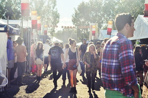 Splendour In The Grass - Holiday Cairns 1