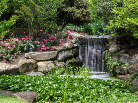 Spring Time At Hunter Valley Gardens - Holiday Cairns 1