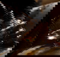 Tasmanian Whisky Week - Holiday Cairns