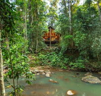 The Canopy Rainforest Treehouses and Wildlife Sanctuary - Holiday Cairns