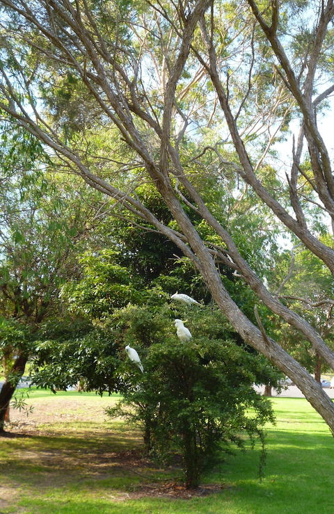 Coachman's Eden - Holiday Cairns 4