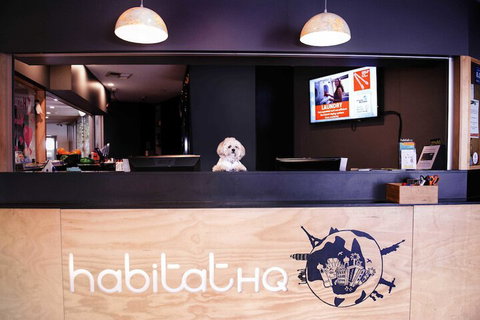 Habitat HQ - Hostel - Holiday Cairns 3