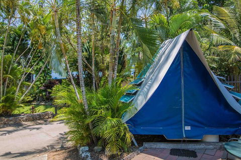 Tasman Holiday Parks - Airlie Beach - Holiday Cairns 5