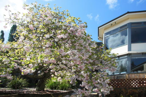 Nesuto Leura Gardens - Holiday Cairns 1