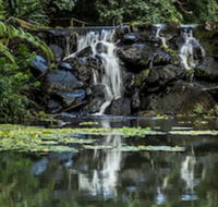 Kondalilla Eco Resort - Holiday Cairns
