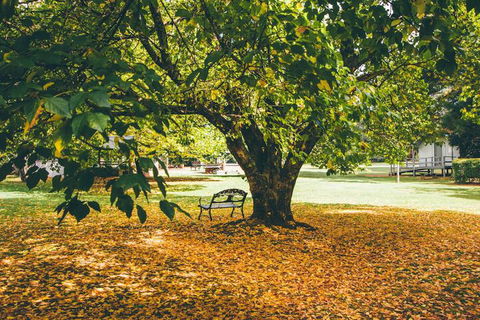 Federation Gardens & Possums Hideaway - Holiday Cairns 6