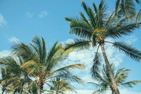 Base Magnetic Island Hostel - Holiday Cairns 0