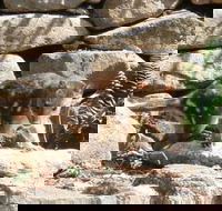 Jenolan Caves House - Holiday Cairns