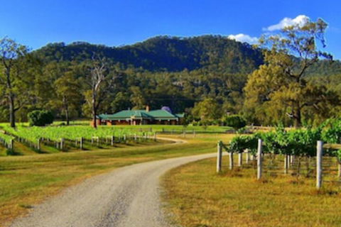 Ascella Organic Wine - Holiday Cairns 0